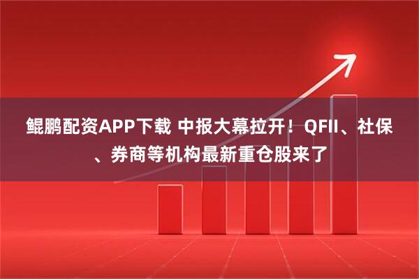 鲲鹏配资APP下载 中报大幕拉开！QFII、社保、券商等机构最新重仓股来了